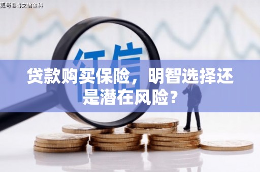 巴塘贷款购买保险，明智选择还是潜在风险？