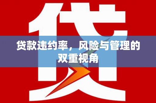 根河贷款违约率，风险与管理的双重视角