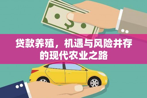 崖州贷款养殖，机遇与风险并存的现代农业之路
