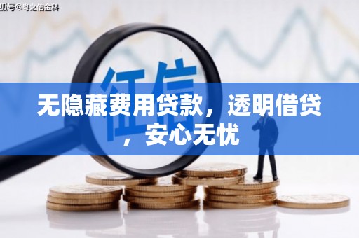 临安无隐藏费用贷款，透明借贷，安心无忧