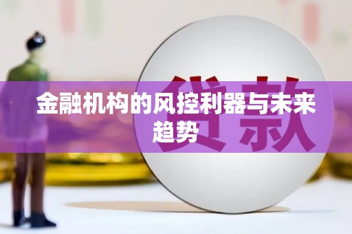 柳东金融机构的风控利器与未来趋势