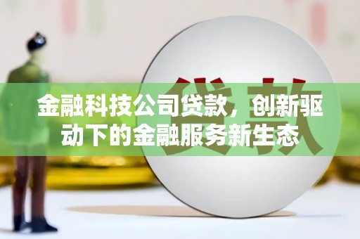 称多金融科技公司贷款，创新驱动下的金融服务新生态