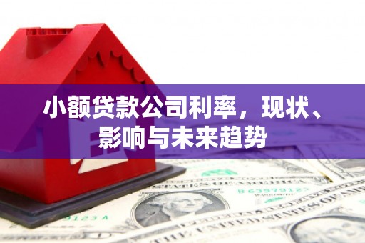 永靖小额贷款公司利率，现状、影响与未来趋势