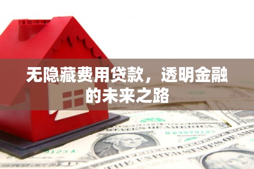 独山无隐藏费用贷款，透明金融的未来之路