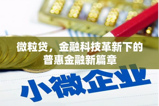 弥陀微粒贷，金融科技革新下的普惠金融新篇章