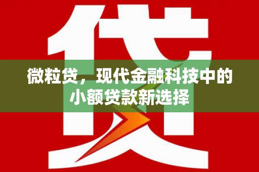 梅山微粒贷，现代金融科技中的小额贷款新选择