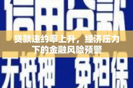 青浦贷款违约率上升，经济压力下的金融风险预警