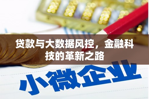 石嘴山贷款与大数据风控，金融科技的革新之路