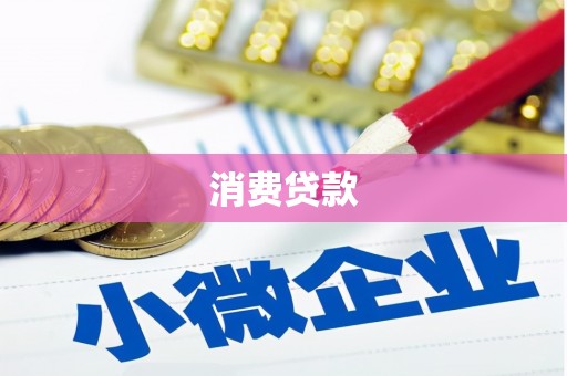 分宜消费贷款