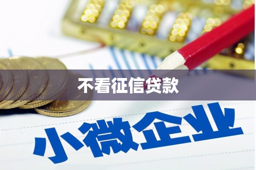 民丰不看征信贷款