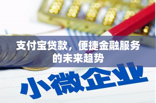 崖州支付宝贷款，便捷金融服务的未来趋势