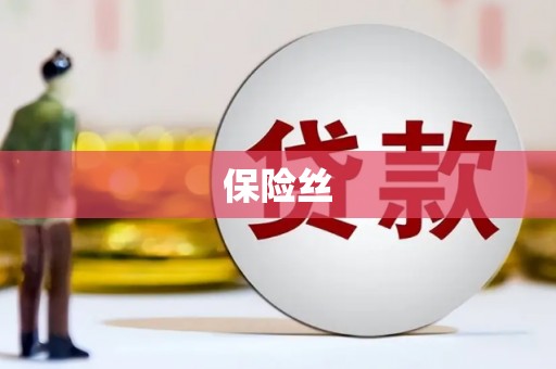 东乡族保险丝