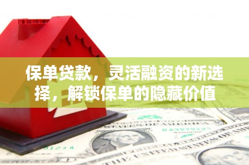 兴国保单贷款，灵活融资的新选择，解锁保单的隐藏价值
