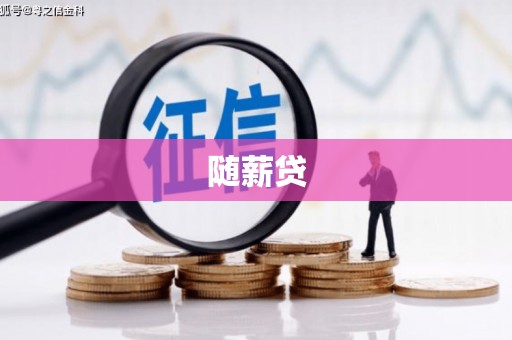 新都随薪贷