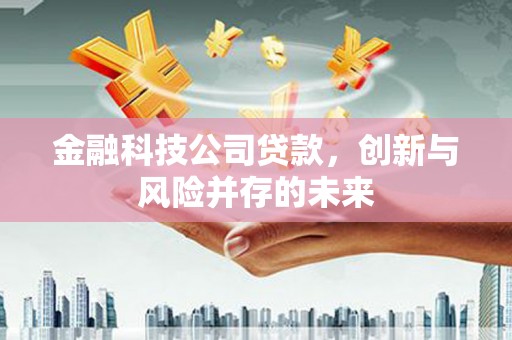 府谷金融科技公司贷款，创新与风险并存的未来