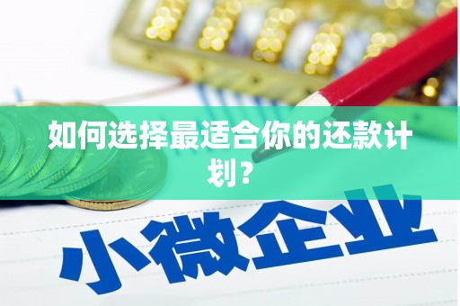 平舆如何选择最适合你的还款计划？