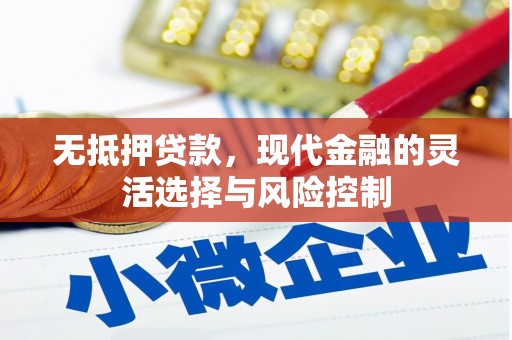 乐东无抵押贷款，现代金融的灵活选择与风险控制