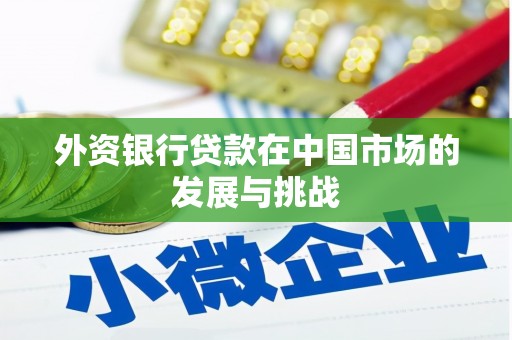 武川外资银行贷款在中国市场的发展与挑战