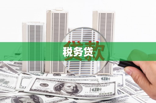海南税务贷