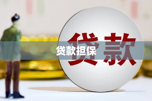 平舆贷款担保