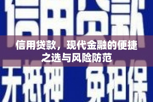 六横信用贷款，现代金融的便捷之选与风险防范
