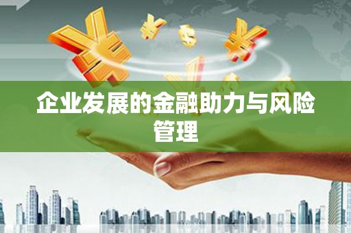 共和企业发展的金融助力与风险管理