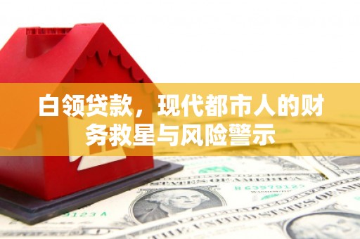 埌东白领贷款，现代都市人的财务救星与风险警示