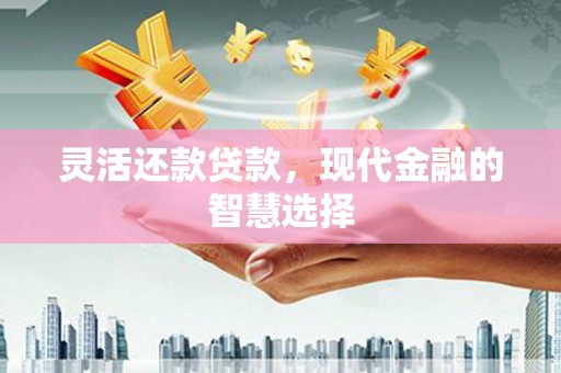 浑源灵活还款贷款，现代金融的智慧选择