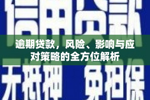 循化逾期贷款，风险、影响与应对策略的全方位解析