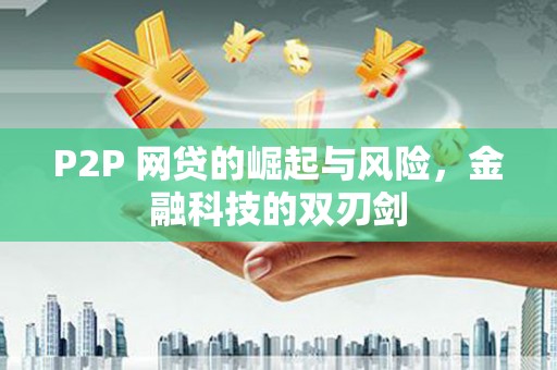 南长P2P 网贷的崛起与风险，金融科技的双刃剑