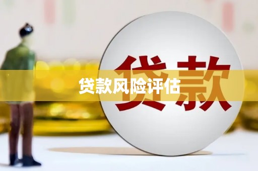仁布贷款风险评估