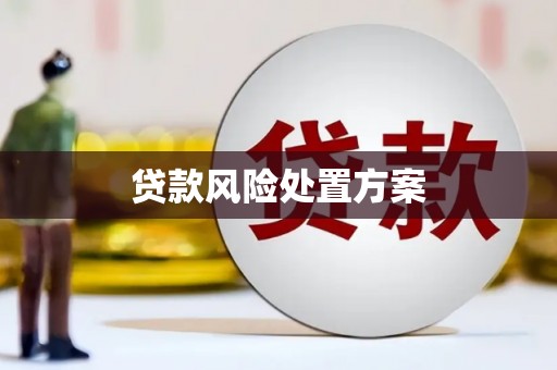 宣威贷款风险处置方案