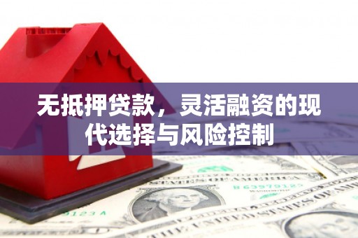 浪卡子无抵押贷款，灵活融资的现代选择与风险控制