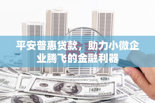 安定平安普惠贷款，助力小微企业腾飞的金融利器
