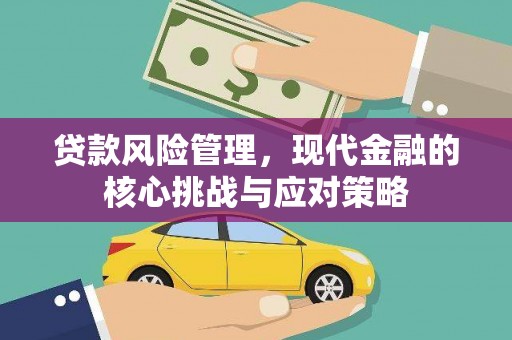 沙田贷款风险管理，现代金融的核心挑战与应对策略