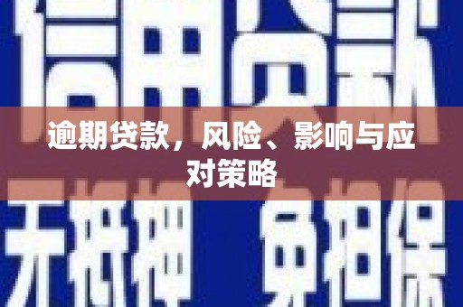 乡城逾期贷款，风险、影响与应对策略