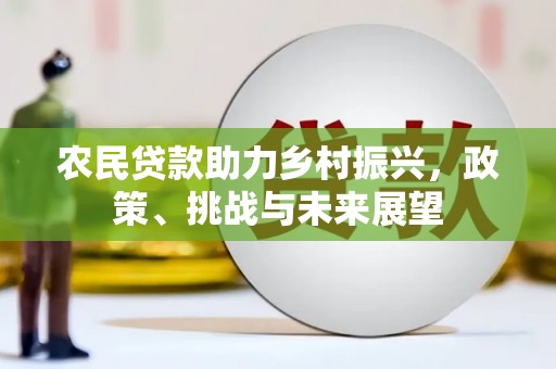 光复农民贷款助力乡村振兴，政策、挑战与未来展望
