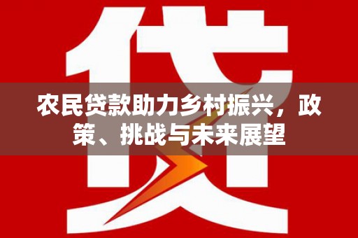 葵青农民贷款助力乡村振兴，政策、挑战与未来展望