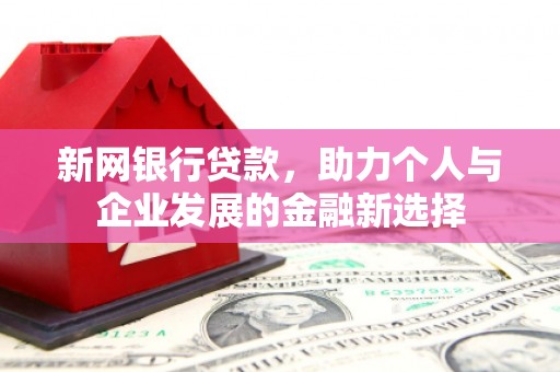 林芝新网银行贷款，助力个人与企业发展的金融新选择