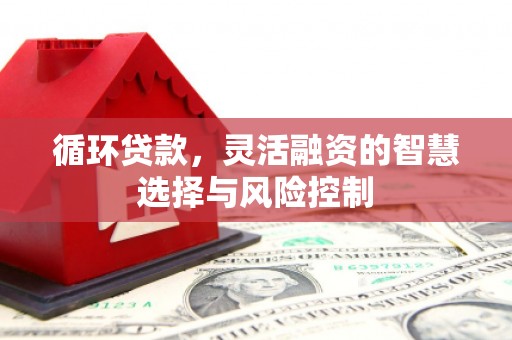 平顶山循环贷款，灵活融资的智慧选择与风险控制