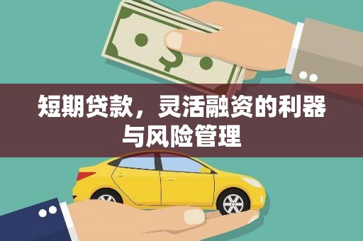 玉树短期贷款，灵活融资的利器与风险管理