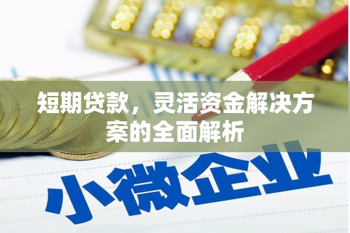 埤头短期贷款，灵活资金解决方案的全面解析