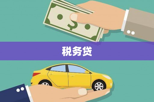 双城税务贷