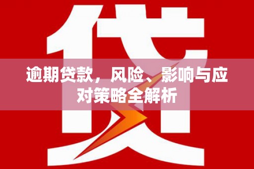 绥滨逾期贷款，风险、影响与应对策略全解析