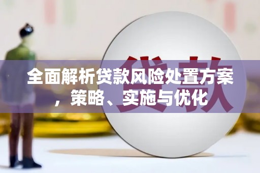六龟全面解析贷款风险处置方案，策略、实施与优化