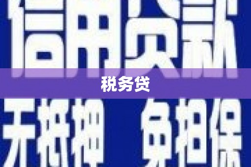 旌德税务贷
