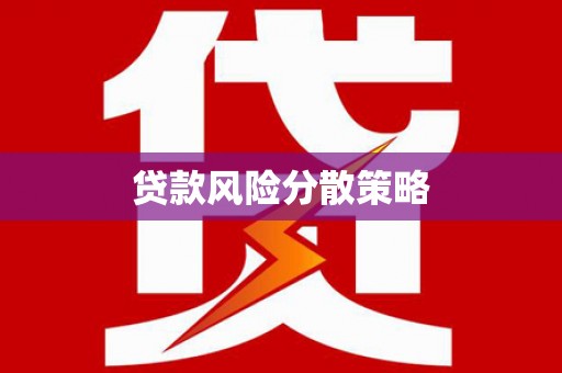 普定贷款风险分散策略