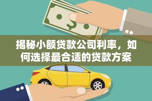 中区揭秘小额贷款公司利率，如何选择最合适的贷款方案