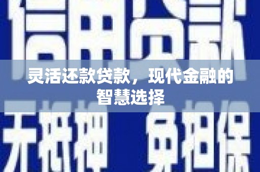 吴兴灵活还款贷款，现代金融的智慧选择