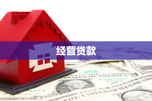 南涧经营贷款